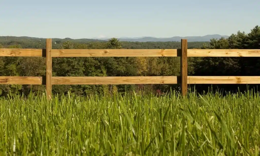 Rustic Split Rail Fence Landscaping Ideas
